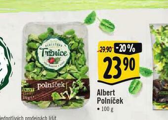 Albert Albert polníček nabídka