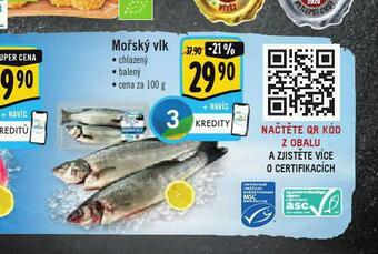 Albert Mořský vlk nabídka