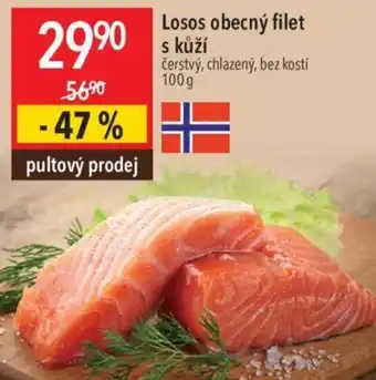 Globus Losos obecný filet s kůží nabídka