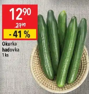 Globus Okurka hadovka nabídka