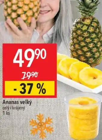 Globus Ananas velký nabídka