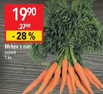 Globus Mrkev s natí nabídka