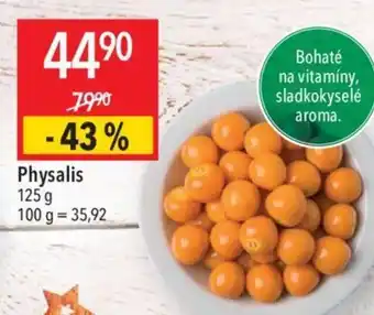 Globus Physalis nabídka