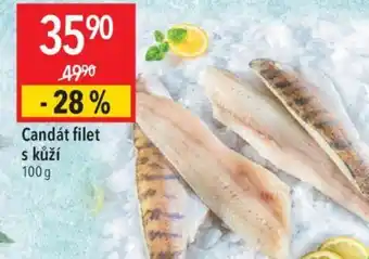 Globus Candát filet s kůží nabídka