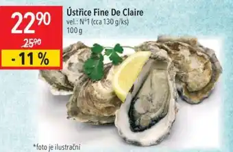 Ústřice Fine De Claire