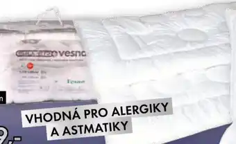 Vesna Přikrývka SILVER + nabídka