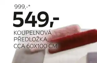 KOUPELNOVÁ PŘEDLOŽKA, CCA 60X100 CM