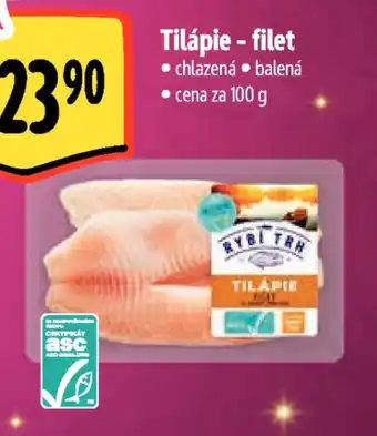 Albert Tilápie - filet nabídka