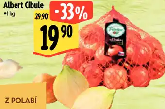 Albert Albert Cibule nabídka
