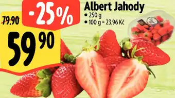 Albert Albert Jahody nabídka