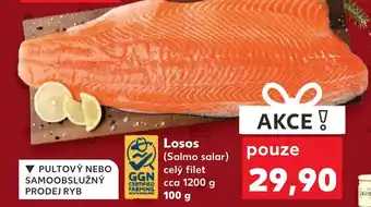 Kaufland Losos nabídka