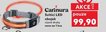 Svítící LED obojek