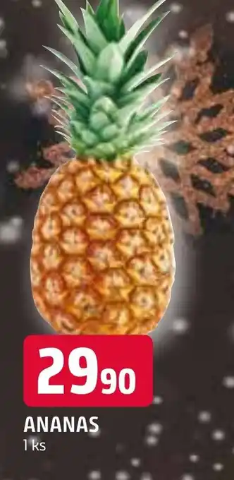 Terno ANANAS nabídka