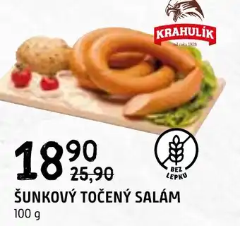 Terno ŠUNKOVÝ TOČENÝ SALÁM 100 g nabídka