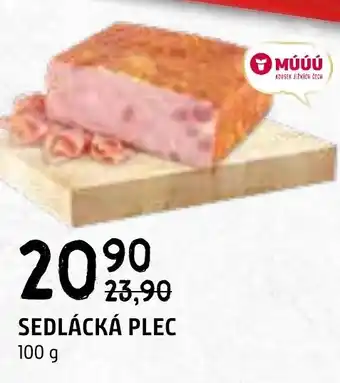 Terno SEDLÁCKÁ PLEC 100 g nabídka