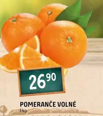 Terno POMERANČE VOLNÉ nabídka