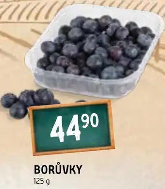 Terno BORŮVKY nabídka