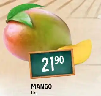Terno MANGO nabídka