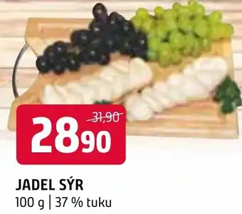 Terno JADEL SÝR nabídka