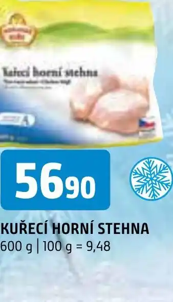 Terno KUŘECÍ HORNÍ STEHNA nabídka