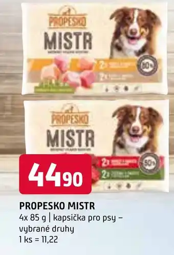 Terno PROPESKO MISTR nabídka