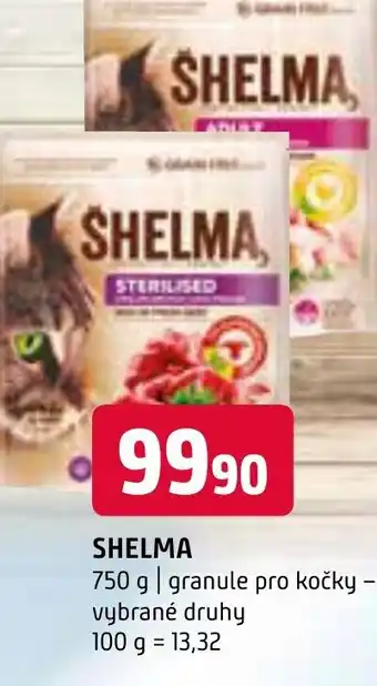 Terno SHELMA nabídka