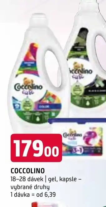 Terno COCCOLINO nabídka