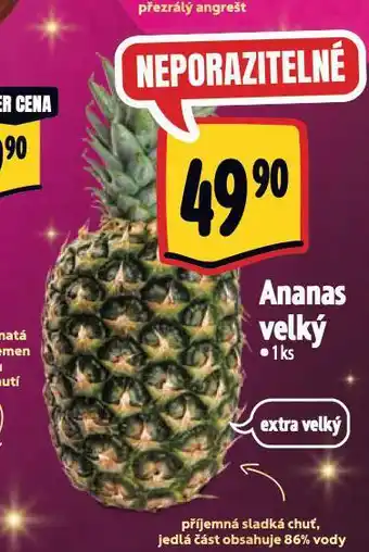 Albert Ananas velký nabídka