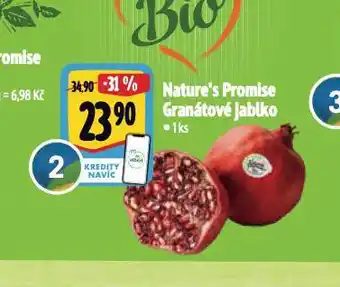 Albert Granátové jablko nabídka