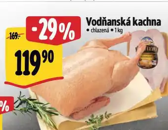 Albert Vodňanská kachna nabídka