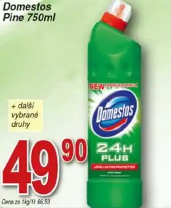 Hruška Domestos Pine 750ml nabídka