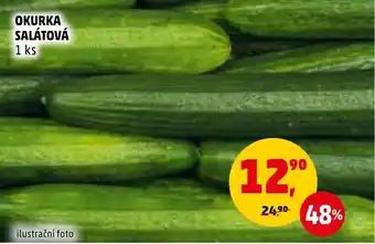 Penny Market OKURKA SALÁTOVÁ nabídka