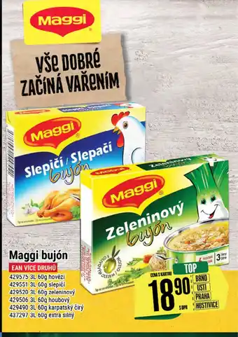 Tamda Foods Maggi bujón nabídka
