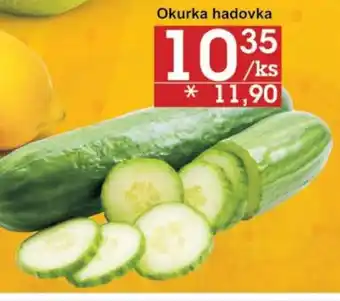 Jip Okurka hadovka nabídka