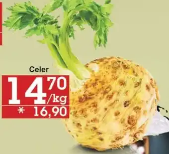 Jip Celer nabídka