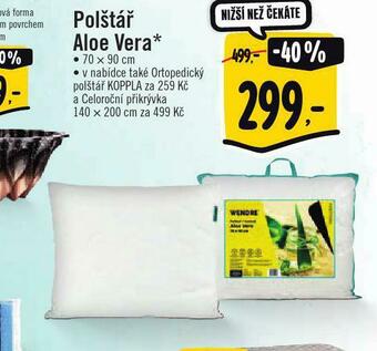 Albert Polštář aloe vera nabídka