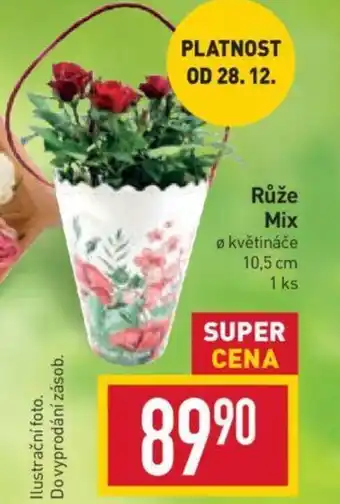 Billa Růže Mix nabídka