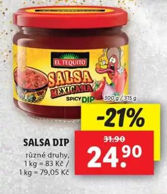SALSA DIP