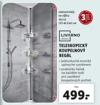 Lidl TELESKOPICKÝ KOUPELNOVÝ REGÁL nabídka