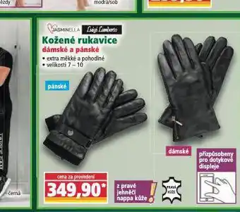 Norma Kožené rukavice nabídka