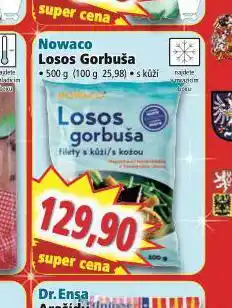 Norma Losos nabídka