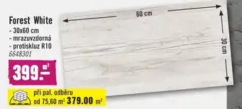 Hornbach Forest White nabídka