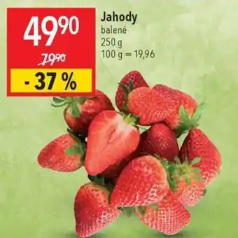 Globus Jahody nabídka