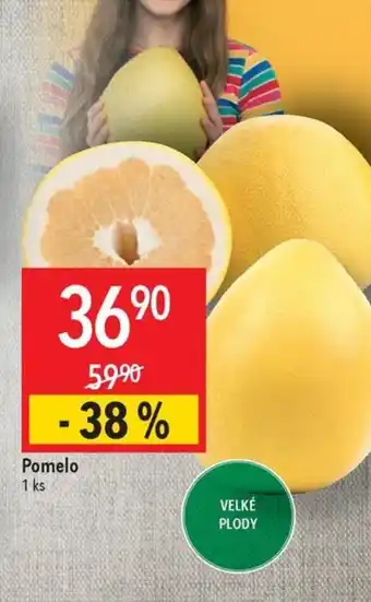 Globus Pomelo nabídka