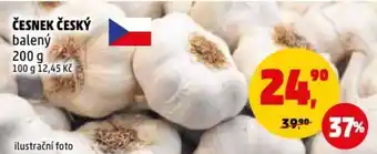 Penny Market ČESNEK ČESKÝ nabídka