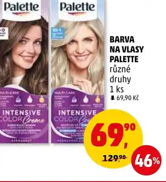 Penny Market BARVA NA VLASY PALETTE nabídka