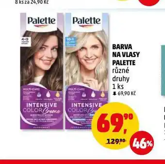 Penny Market Palette barva na vlasy nabídka