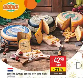 Globus Landana, sýr typu gouda z kravského mléka nabídka