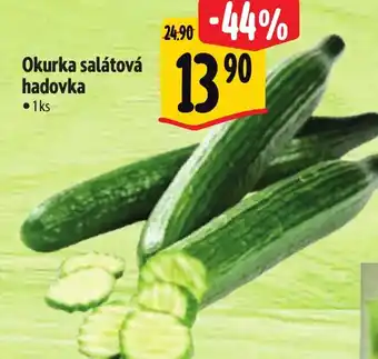 Albert Okurka salátová hadovka nabídka