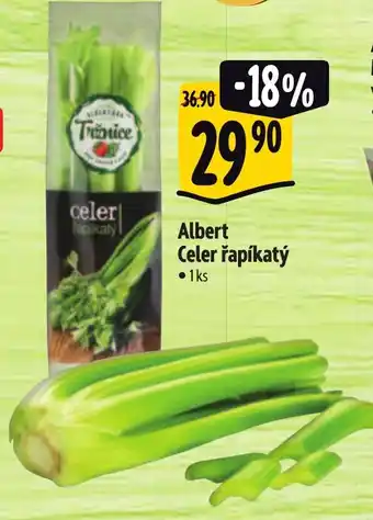 Albert Albert Celer řapíkatý nabídka